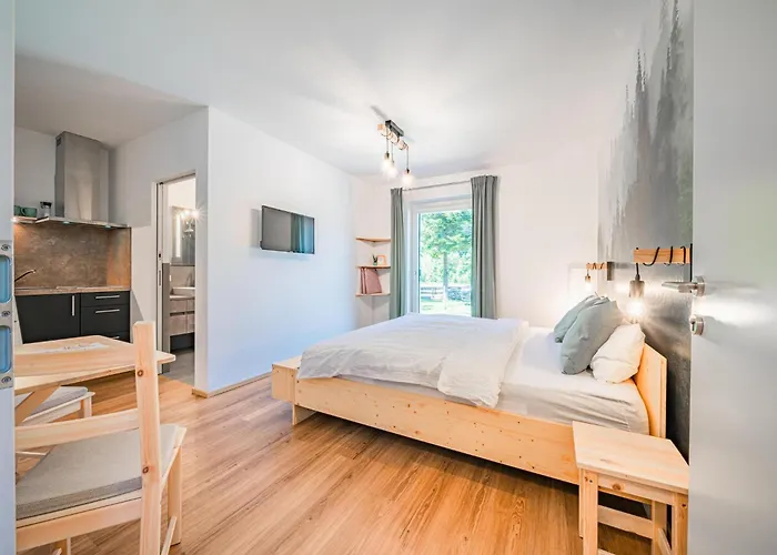 Tirola Bude Resi 1 Lejlighed Hopfgarten im Brixental